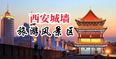 鸡巴插进逼网站中国陕西-西安城墙旅游风景区
