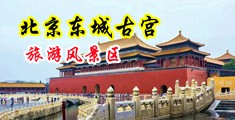大鸡巴操美女逼视频高清中国北京-东城古宫旅游风景区