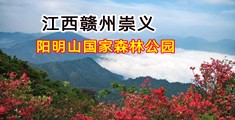 嗯啊小穴视频